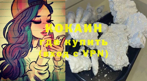 МДПВ Каменка