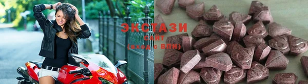 МДПВ Каменка