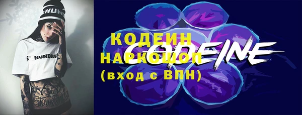 соль ск Каменногорск