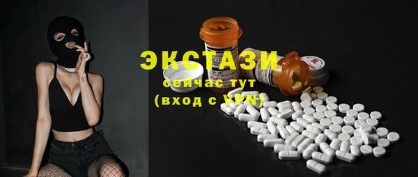 МДПВ Каменка