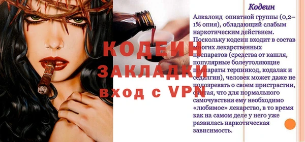 МДПВ Каменка