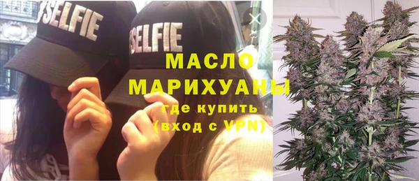 МДПВ Каменка